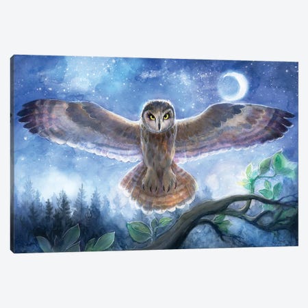 Spirit Owl Canvas Print #DJQ51} by David Joaquin Canvas Art Print