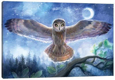 Spirit Owl Canvas Art Print - Art by Native American & Indigenous Artists