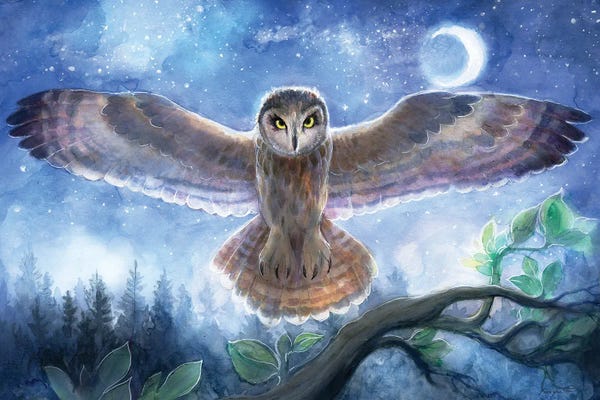 David Joaquin: Spirit Owl by David Joaquin