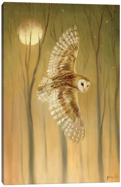 Night Owl Canvas Art Print - Owl Art