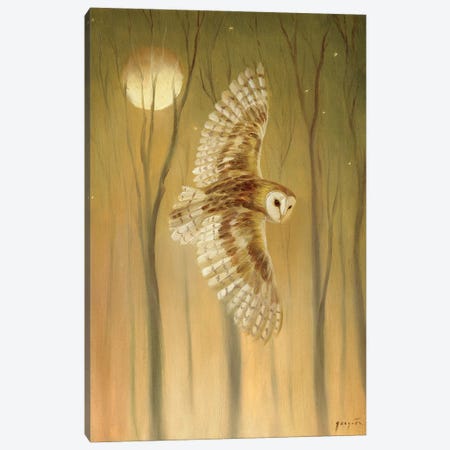 Night Owl Canvas Print #DJQ67} by David Joaquin Art Print