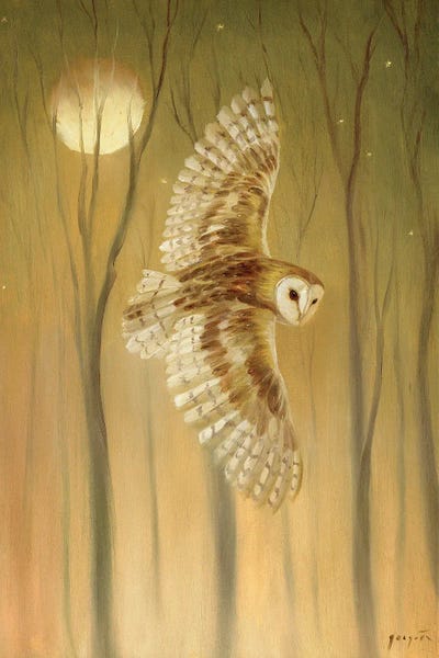 Native American Décor: Night Owl by David Joaquin