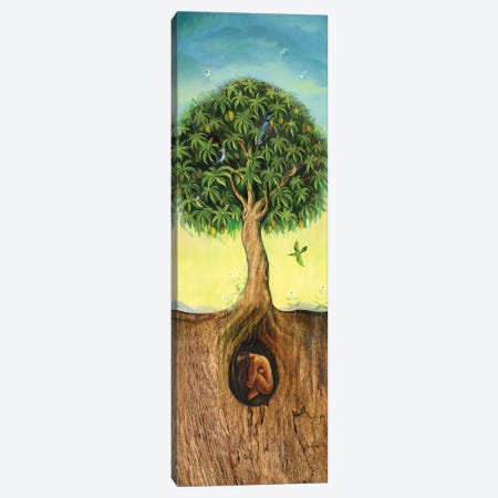 Tree Of Life Canvas Print #DJQ69} by David Joaquin Canvas Wall Art