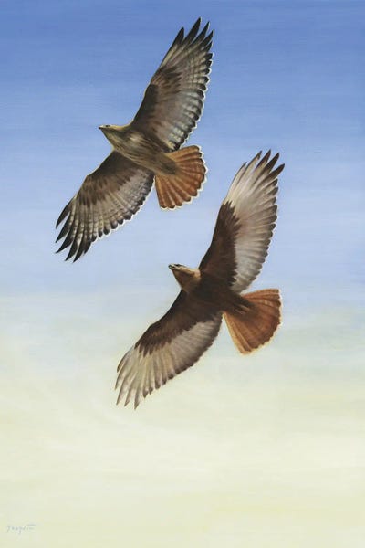 Native American Décor: Soaring by David Joaquin