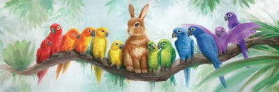 Parrots