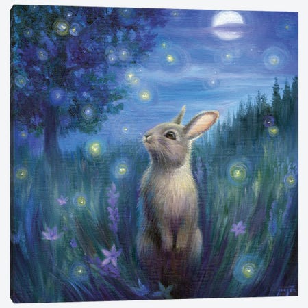 Isabella And The Fireflies Canvas Print #DJQ89} by David Joaquin Canvas Artwork