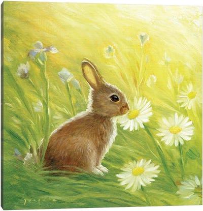 Isabella And The Flowers Canvas Art Print - Rabbit Art
