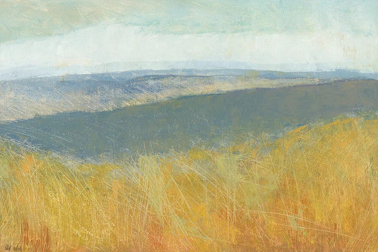 Kineret Sea by Dita Jacobovitz wall art