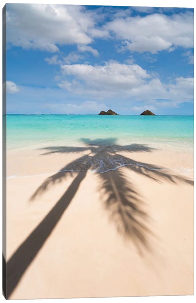 Paradise Palms Of Hawaii Canvas Art Print - Daniel Keating