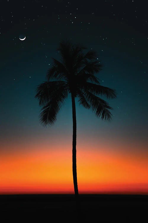 Evening Glow Palms Of Hawaii