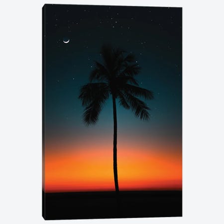Evening Glow Palms Of Hawaii Canvas Print #DKE108} by Daniel Keating Canvas Print