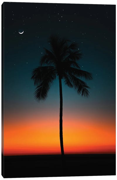 Evening Glow Palms Of Hawaii Canvas Art Print - Daniel Keating
