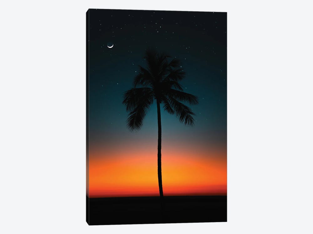 Evening Glow Palms Of Hawaii by Daniel Keating 1-piece Canvas Artwork