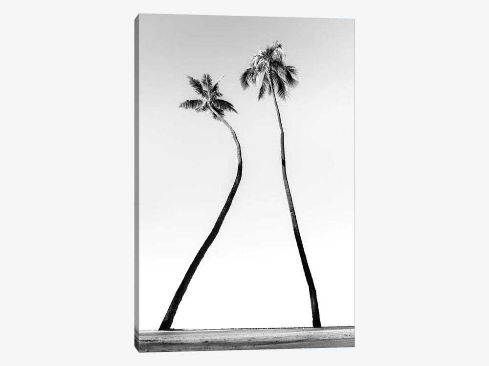 Double Palm Black And White by Daniel Keating 1-piece Canvas Art Print