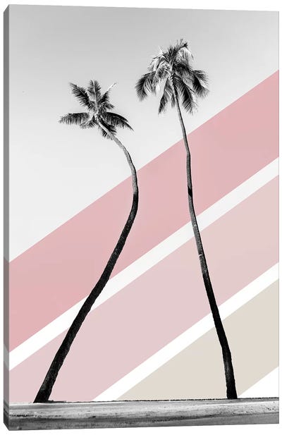 Double Palm Pink Canvas Art Print - Daniel Keating