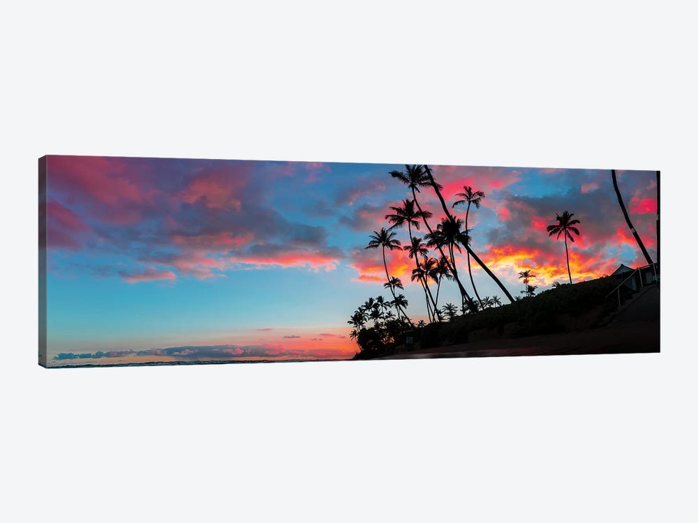 Sunset Panoramic by Daniel Keating 1-piece Canvas Art