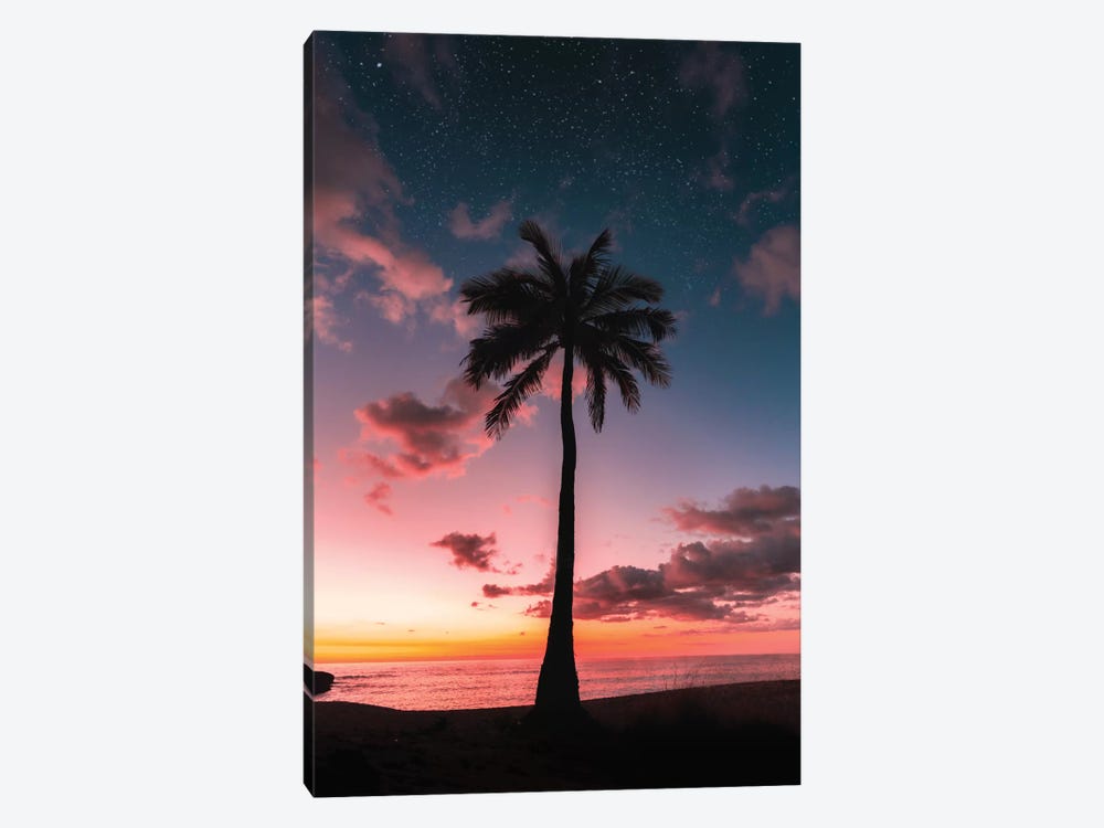Space Palm by Daniel Keating 1-piece Canvas Print