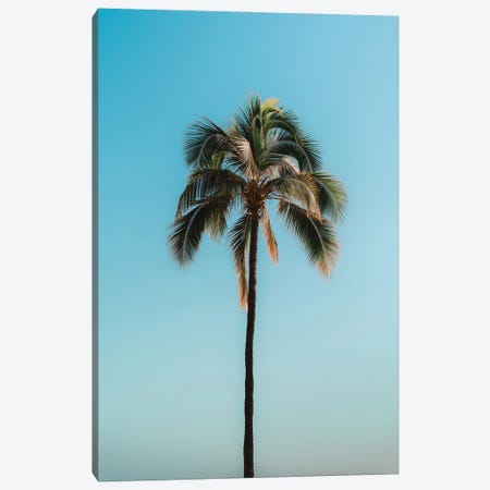 Palm I Canvas Wall Art by Daniel Keating | iCanvas