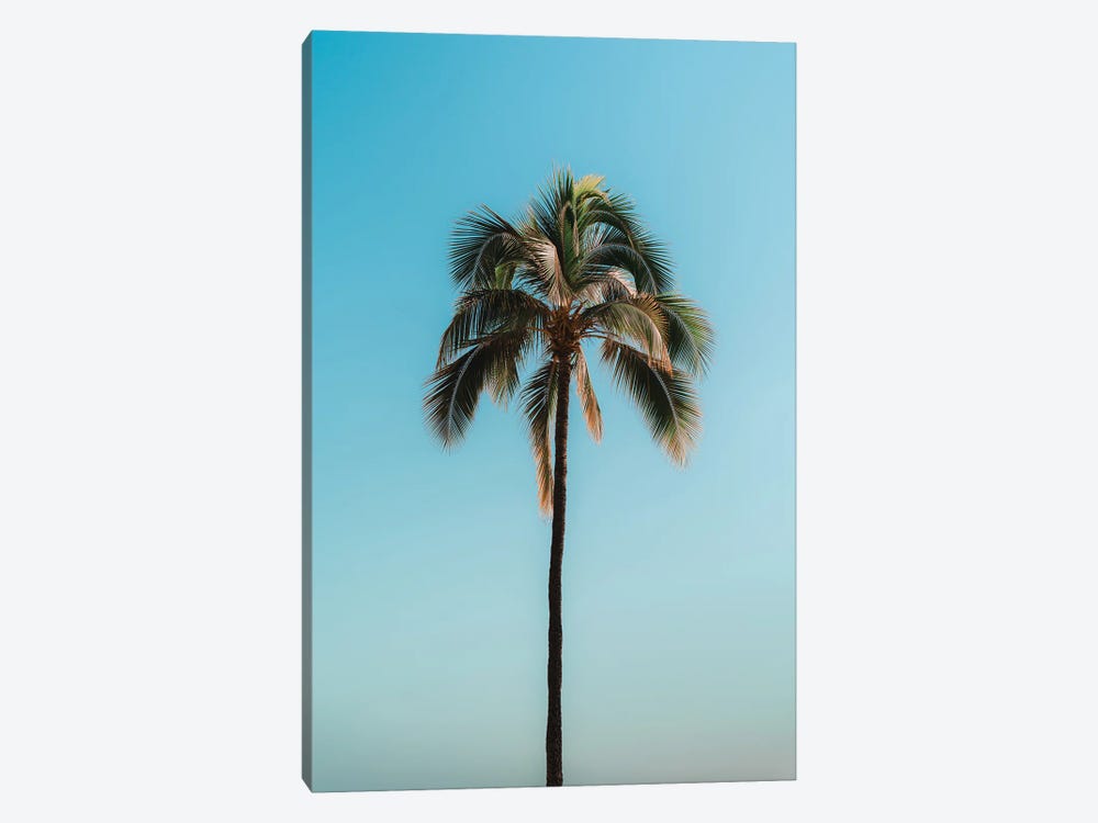 Pretty Palm by Daniel Keating 1-piece Art Print
