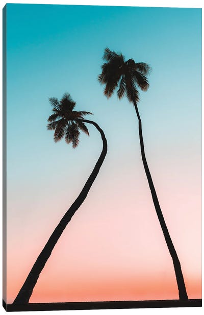 Hawaii Palms Canvas Art Print - Daniel Keating