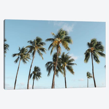 Paradise Palms - Oahu, Hawaii Canvas Print #DKE76} by Daniel Keating Art Print