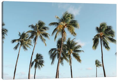 Paradise Palms - Oahu, Hawaii Canvas Art Print - Oahu