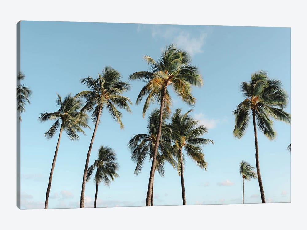 Paradise Palms - Oahu, Hawaii by Daniel Keating 1-piece Art Print