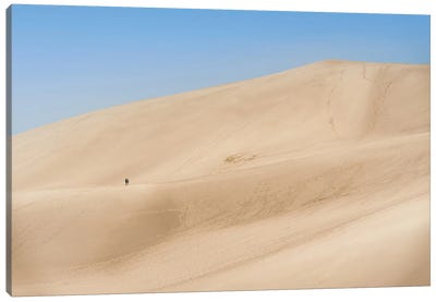 Sand Dunes Canvas Art Print - Coastal Sand Dune Art