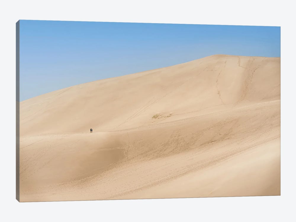 Sand Dunes by Daniel Keating 1-piece Canvas Artwork