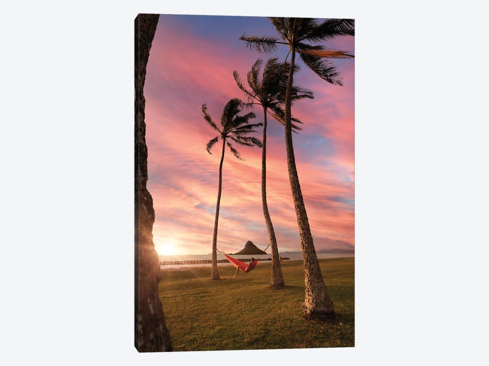 China Mans Hat Palms by Daniel Keating 1-piece Canvas Print