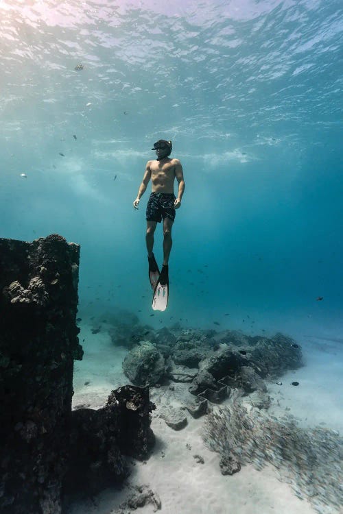 Underwater Wonder Oahu Hawaii