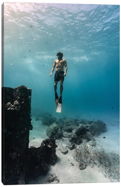 Underwater Wonder Oahu Hawaii Canvas Art Print - Daniel Keating