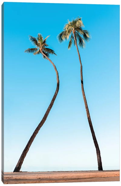 Double Palm Canvas Art Print - Daniel Keating