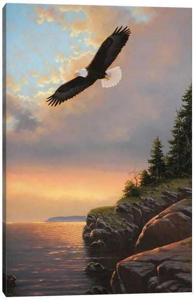 Evening Flight Canvas Art Print - Eagle Art