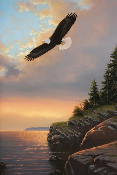 Cabin & Lodge Décor: Evening Flight by Derk Hansen