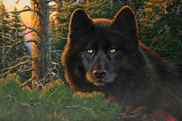 Wolves: Eyes Of The Hunter by Derk Hansen