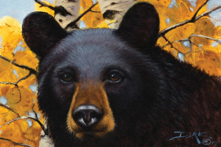 Curiosity by Derk Hansen wall art