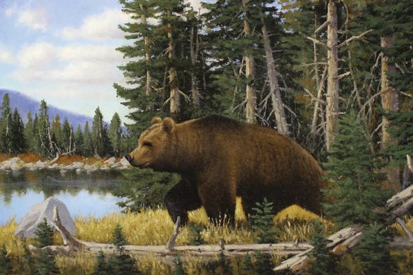 Grizzly Bears: Just Passing Through by Derk Hansen