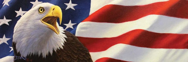 American Décor: Land Of The Free by Derk Hansen