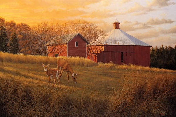 Deer: Autumn Sunset by Derk Hansen