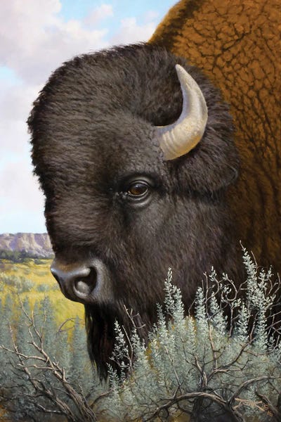 Home On The Range: Monarch Of The Plains by Derk Hansen