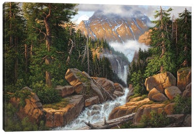 Peek At The Falls Canvas Art Print - Derk Hansen