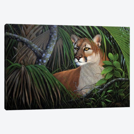 Prince Of The Everglades Canvas Print #DKH41} by Derk Hansen Canvas Artwork