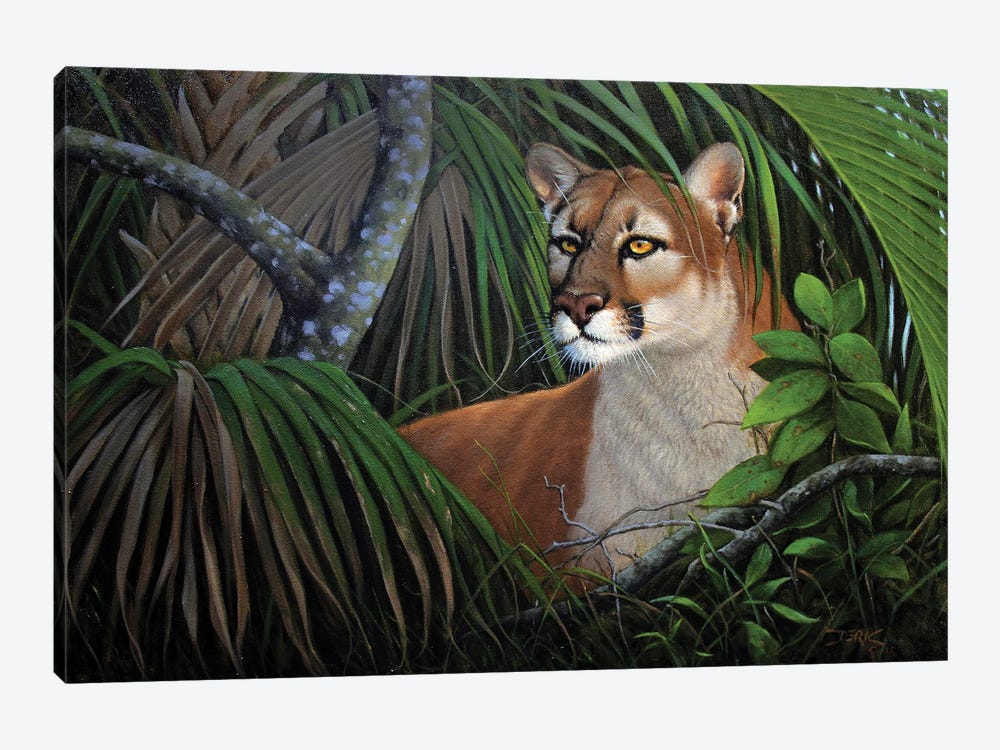 Prince Of The Everglades by Derk Hansen 1-piece Canvas Wall Art