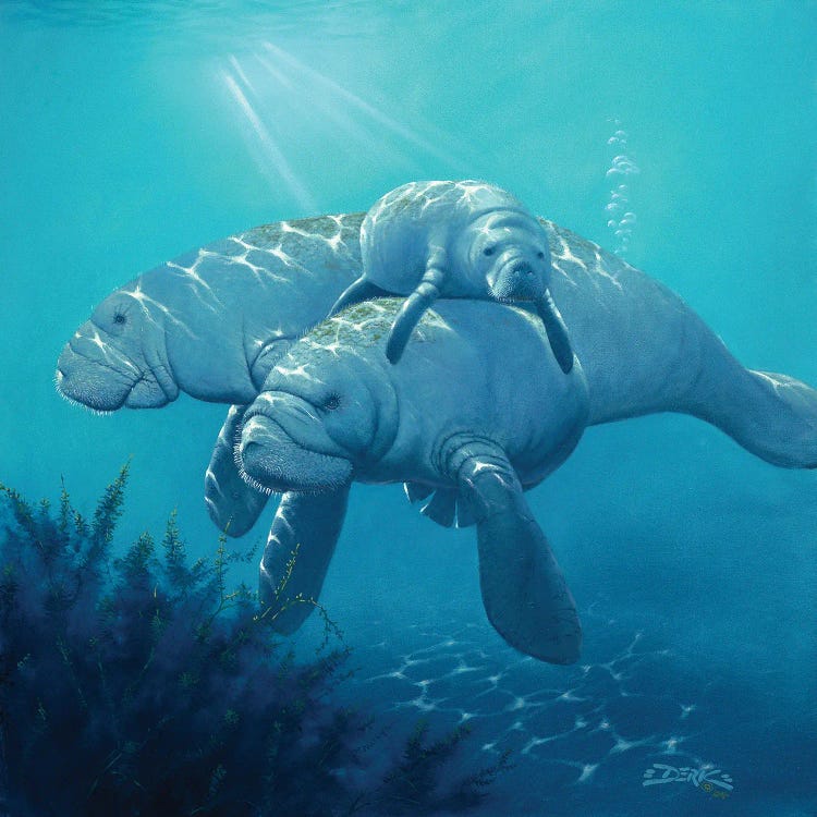 Survivors by Derk Hansen wall art