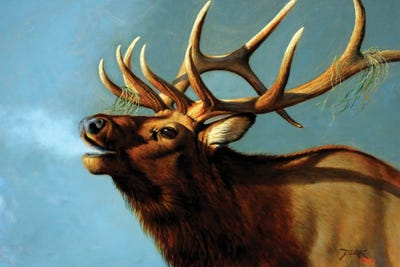 The Challenger by Derk Hansen framed wall art