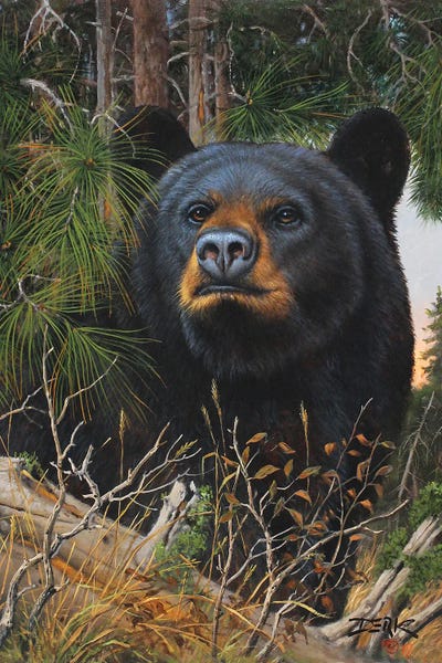 The Old Man Of The Woods by Derk Hansen framed wall art