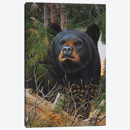 The Old Man Of The Woods Canvas Print #DKH48} by Derk Hansen Canvas Wall Art