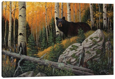 The Wanderer Canvas Art Print - Black Bears