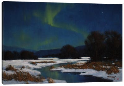 Winter Nights Canvas Art Print - Aurora Borealis Art